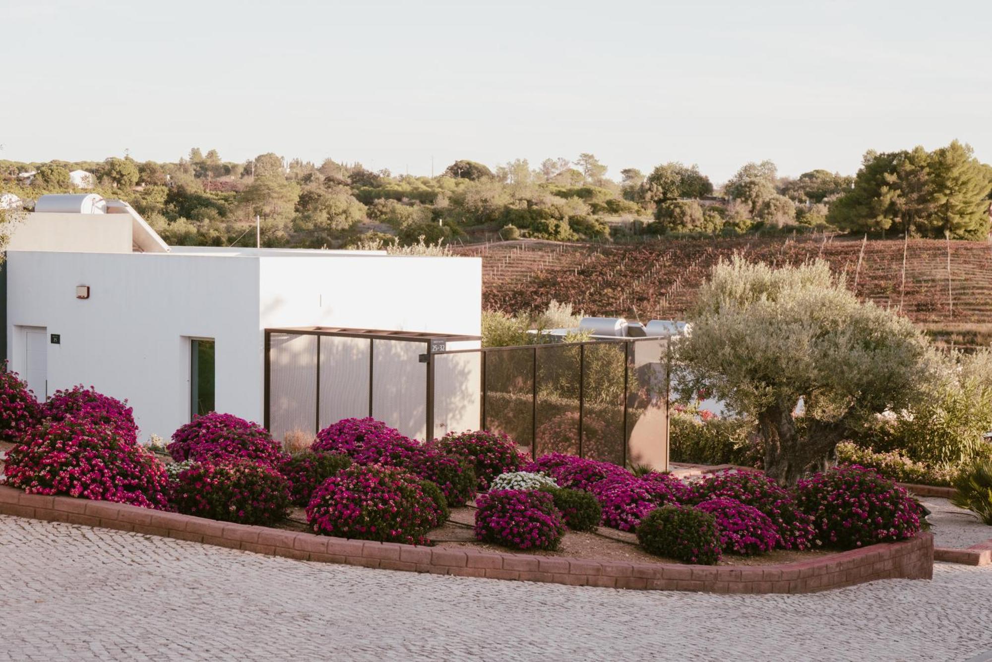 Гостевой дом Quinta Dos Vales Wine Estate Эштомбар Экстерьер фото